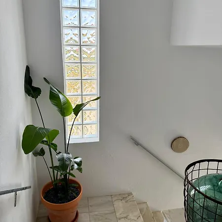 Pensionat Casa Rey's *