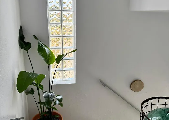 بيت ضيافة Casa Rey's *