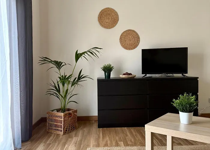 Casa Rey's * Paialvo